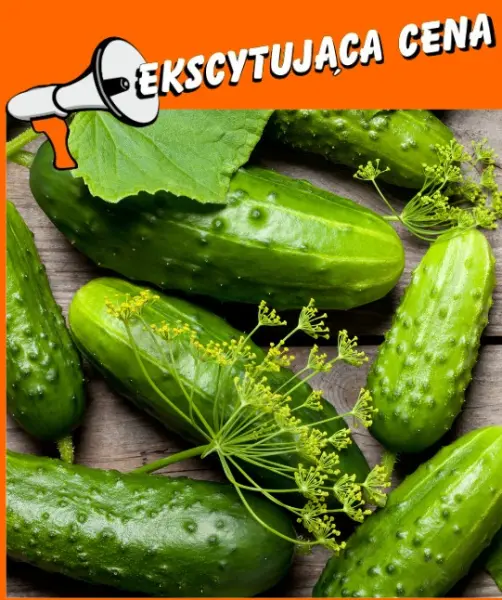 OGÓRKI GRUNTOWE 1KG