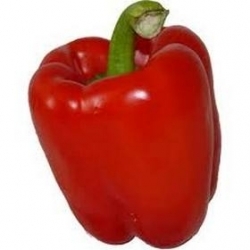 PAPRYKA CZERWONA 1KG